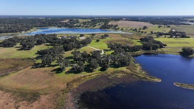 Set atop the high, rolling elevations of Dade City, Sheik Island - photo 8