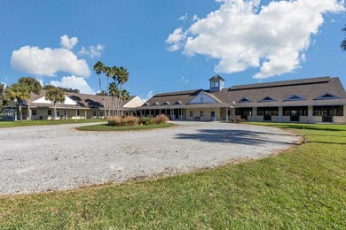 Set atop the high, rolling elevations of Dade City, Sheik Island - photo 9