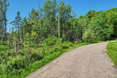 Peaceful Mill Lake Waterfront Lot - 2.24 Acres in Sugar Camp! - photo 3