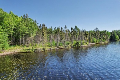 Peaceful Mill Lake Waterfront Lot - 2.24 Acres in Sugar Camp! - photo 4
