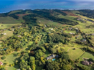 New 5 acre CPR! Close to Beach. Enjoy the lush, tropical - photo 4