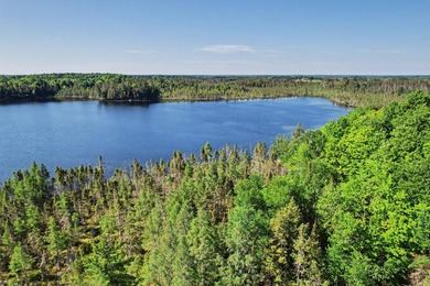 Peaceful Mill Lake Waterfront Lot - 2.24 Acres in Sugar Camp! - photo 5