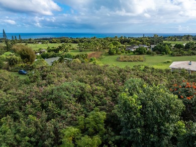 New 5 acre CPR! Close to Beach. Enjoy the lush, tropical - photo 6