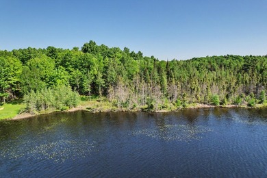 Peaceful Mill Lake Waterfront Lot - 2.24 Acres in Sugar Camp! - photo 9