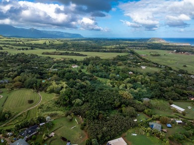 New 5 acre CPR! Close to Beach. Enjoy the lush, tropical - photo 9
