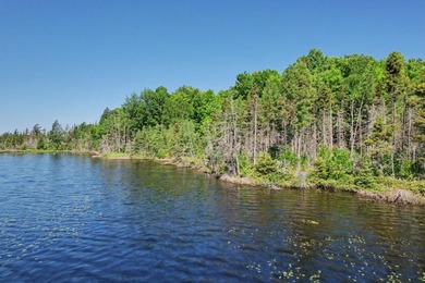 Peaceful Mill Lake Waterfront Lot - 2.24 Acres in Sugar Camp! - photo 10