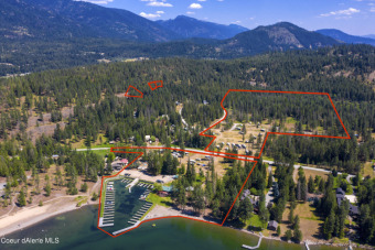 Lake Commercial For Sale in Hope, Idaho