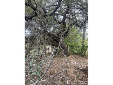 Lake Lot For Sale in Canyon Lake, Texas