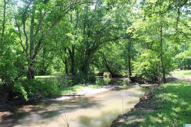 This estate truly embodies the essence of Alabama. Spanning over - photo 12