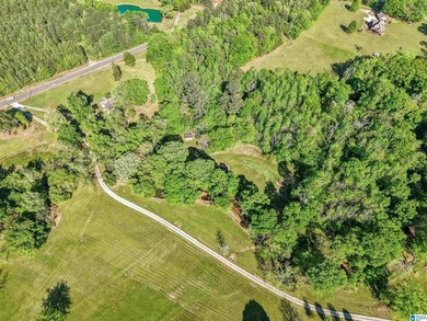 This estate truly embodies the essence of Alabama. Spanning over - photo 13