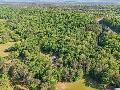 This estate truly embodies the essence of Alabama. Spanning over - photo 23