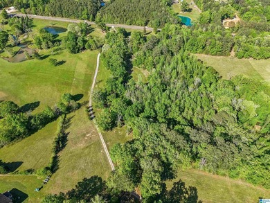 This estate truly embodies the essence of Alabama. Spanning over - photo 24