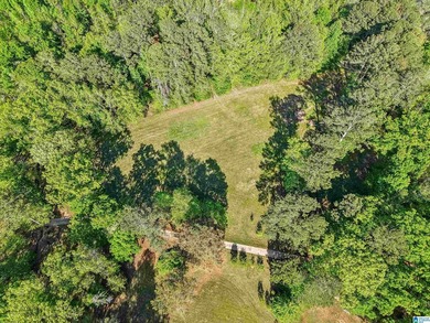 This estate truly embodies the essence of Alabama. Spanning over - photo 25