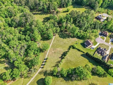 This estate truly embodies the essence of Alabama. Spanning over - photo 27