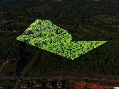 This estate truly embodies the essence of Alabama. Spanning over - photo 28