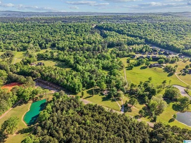 This estate truly embodies the essence of Alabama. Spanning over - photo 35