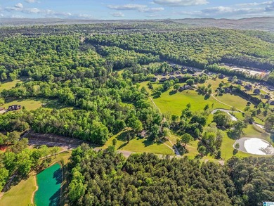 This estate truly embodies the essence of Alabama. Spanning over - photo 36