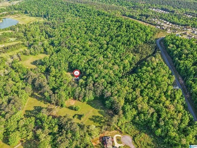 This estate truly embodies the essence of Alabama. Spanning over - photo 43