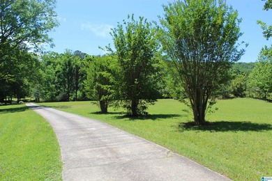 This estate truly embodies the essence of Alabama. Spanning over - photo 45