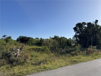 Lehigh Acres Area Lot For Sale in Lehigh Acres Florida