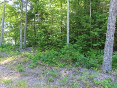Merrymeeting River Lot Sale Pending in Barnstead New Hampshire