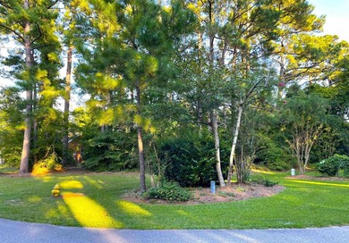 This rare lot offers the perfect setting to build your dream - photo 2