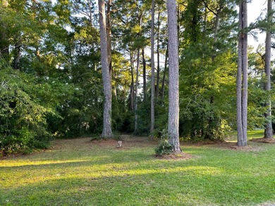 This rare lot offers the perfect setting to build your dream - photo 3