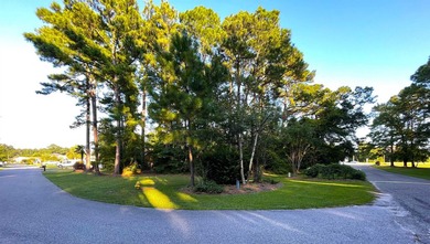 This rare lot offers the perfect setting to build your dream - photo 7