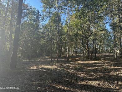 Close to beach. Just cleared the under brush . Beautiful 3.4 - photo 11