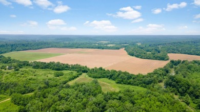 Lake Acreage For Sale in Zalma, Missouri