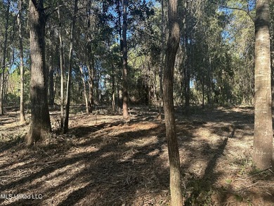 Close to beach. Just cleared the under brush . Beautiful 3.4 - photo 13
