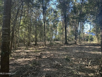 Close to beach. Just cleared the under brush . Beautiful 3.4 - photo 14
