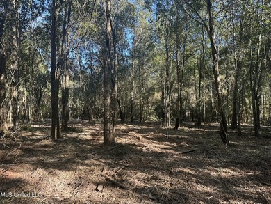 Close to beach. Just cleared the under brush . Beautiful 3.4 - photo 15