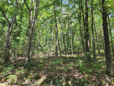 Lake Desoto Lot For Sale in Hot Springs Village Arkansas