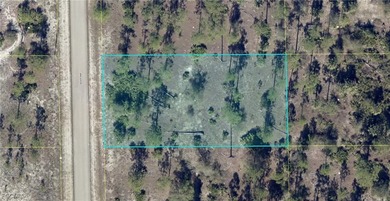 Lehigh Acres Area Lot For Sale in Lehigh Acres Florida