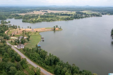Lake Lot For Sale in Lincoln, Alabama