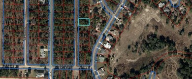 Vacant residential lot of 0.23 acres to build your dream home in - photo 1
