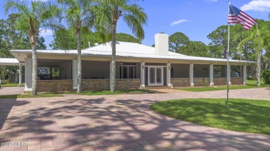 (private lake, pond, creek) Home For Sale in New Smyrna Beach Florida