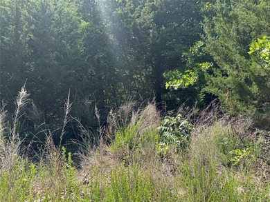 Escape to Belle Starr Forest #2! This premium, undeveloped - photo 1