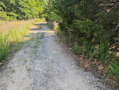 Escape to Belle Starr Forest #2! This premium, undeveloped - photo 2
