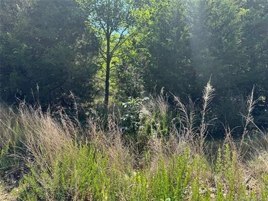 Escape to Belle Starr Forest #2! This premium, undeveloped - photo 3