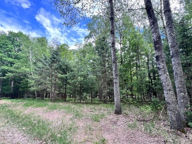 2.16 Acre Build-Ready Lot near Eagle River! Tucked away in a - photo 2