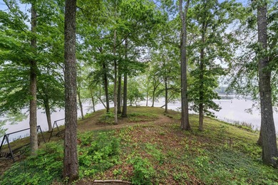 Stunning Point Lot on Lake Catherine with 619 Ft of Shoreline - photo 5