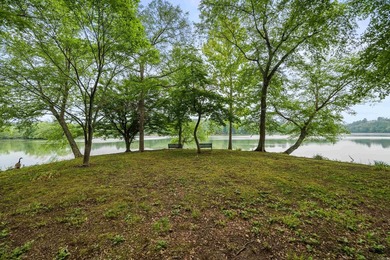 Stunning Point Lot on Lake Catherine with 619 Ft of Shoreline - photo 6