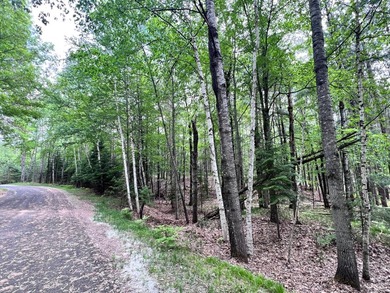 2.16 Acre Build-Ready Lot near Eagle River! Tucked away in a - photo 6
