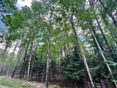 2.16 Acre Build-Ready Lot near Eagle River! Tucked away in a - photo 7