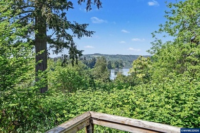 Perched above the Willamette River in Canby, this rare 7.46-acre - photo 17