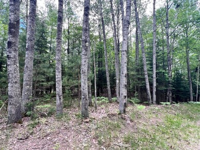 2.16 Acre Build-Ready Lot near Eagle River! Tucked away in a - photo 8