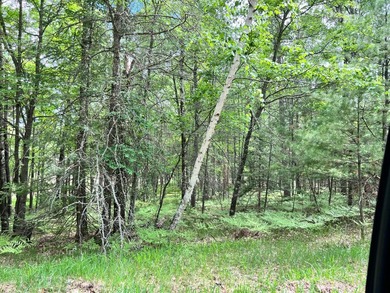 2.16 Acre Build-Ready Lot near Eagle River! Tucked away in a - photo 9