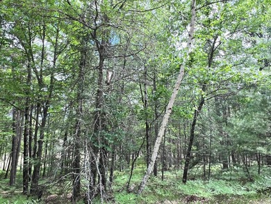 2.16 Acre Build-Ready Lot near Eagle River! Tucked away in a - photo 10